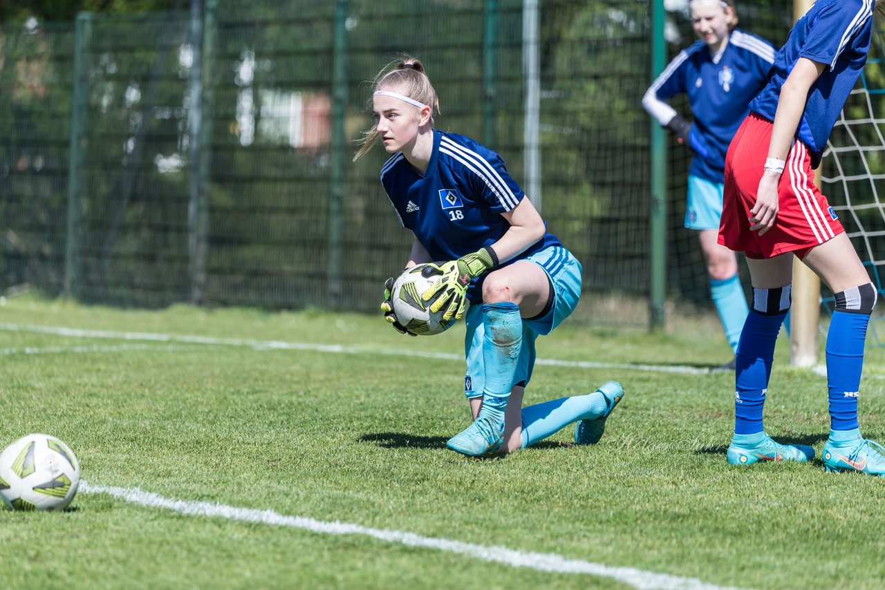 Bild 197 - wBJ Hamburger SV - WfL Wolfsburg : Ergebnis: 2:1